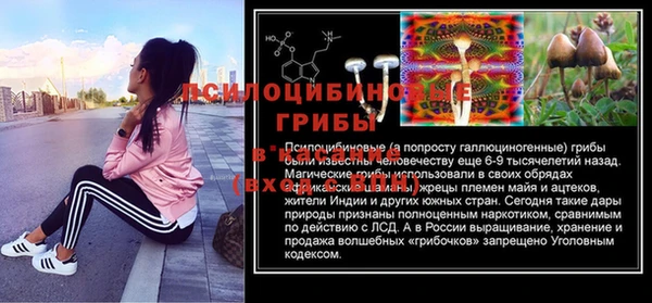 мяу мяу мука Алзамай